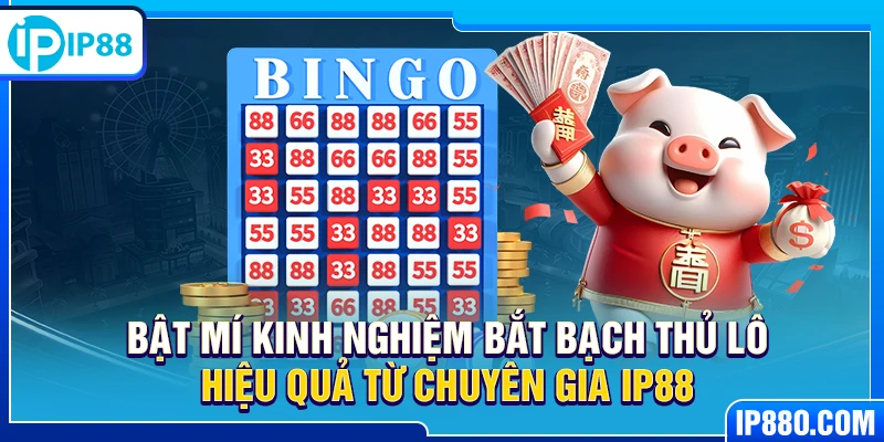 Bật mí kinh nghiệm bắt bạch thủ lô hiệu quả từ chuyên gia IP88