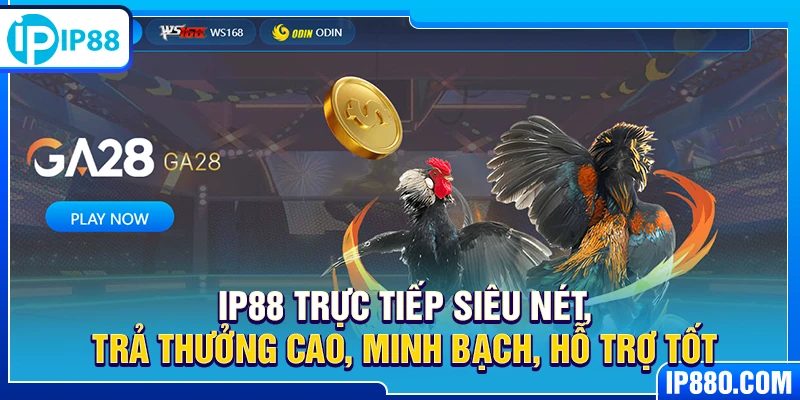 IP88 trực tiếp siêu nét, trả thưởng cao, minh bạch, hỗ trợ tốt